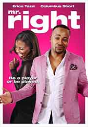 Mr. Right (2015) HDRip Full Movies Watch Online Free Download