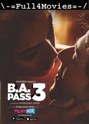 BA Pass 3 (2021) 720p | 480p WEB-HDRip [Hindi]