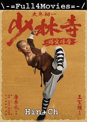 Rising Shaolin: The Protector (2021) 720p | 480p WEB-HDRip Dual Audio [Hindi ORG (DD2.0) + Chinese]